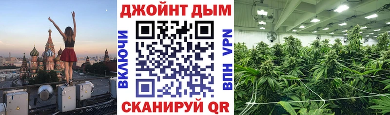 Магазины продажи наркотиков Пионерский АМФЕТАМИН  Марихуана  Кокаин  МЕФ  Гашиш 
