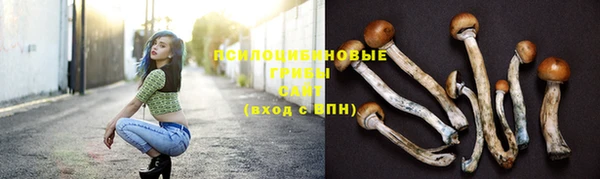 не бодяженный Беломорск