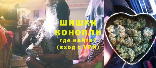 Альфа ПВП Белокуриха