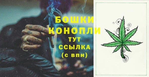 дживик Осинники