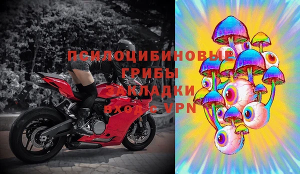 Альфа ПВП Белокуриха