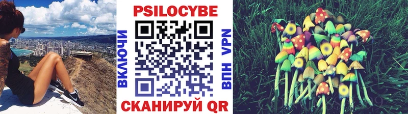 Галлюциногенные грибы Cubensis  где купить наркоту  Пионерский 